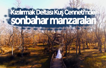 Kızılırmak Deltası Kuş Cenneti'nde sonbahar manzaraları