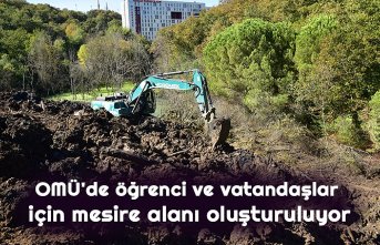 OMÜ'de öğrenci ve vatandaşlar için mesire alanı oluşturuluyor