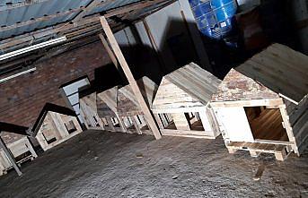 Sokak hayvanları için paletlerden kulübe yapıyorlar