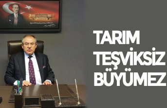 TARIM TEŞVİKSİZ BÜYÜMEZ