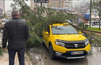 Zonguldak'ta ağacın taksinin üzerine devrilmesi güvenlik kamerasına yansıdı