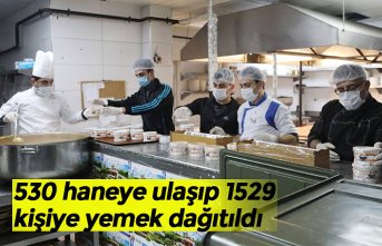 530 haneye ulaşıp 1529 kişiye yemek dağıtıldı