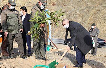 Artvin'de 26 bin meyve fidanı toprakla buluşturuldu