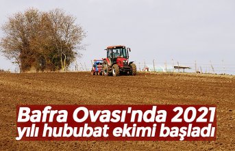 Bafra Ovası'nda 2021 yılı hububat ekimi başladı