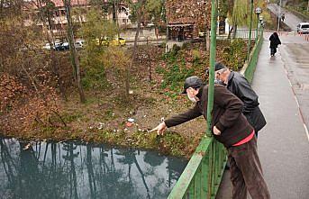 Bartın Irmağı'ndaki renk değişikliğine inceleme