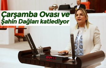 Çarşamba Ovası ve Şahin Dağları katlediyor
