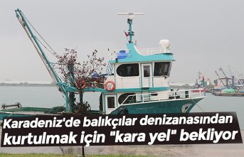 Karadeniz'de balıkçılar denizanasından kurtulmak için "kara yel" bekliyor