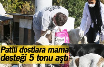Patili dostlara mama desteği 5 tonu aştı