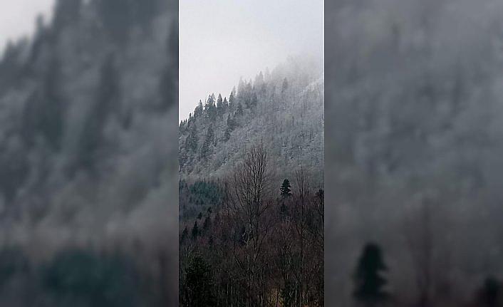 Sakarya, Karabük, Bolu ve Düzce'de yüksek kesimler beyaza büründü