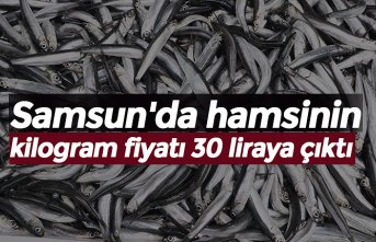 Samsun'da hamsinin kilogram fiyatı 30 liraya çıktı