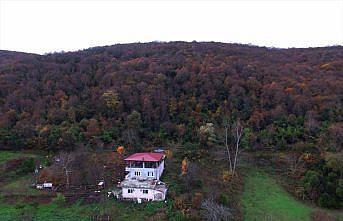 Samsun'da hazan rengine bürünen ormanlar ilgi çekiyor