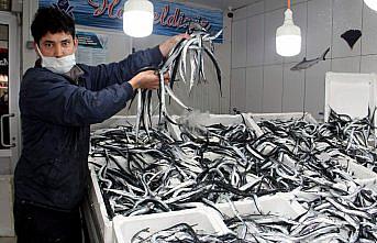 Sinop'ta zargana avında bolluk yaşanıyor