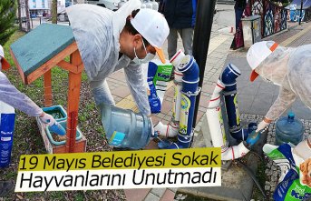 19 Mayıs Belediyesi Sokak Hayvanlarını Unutmadı