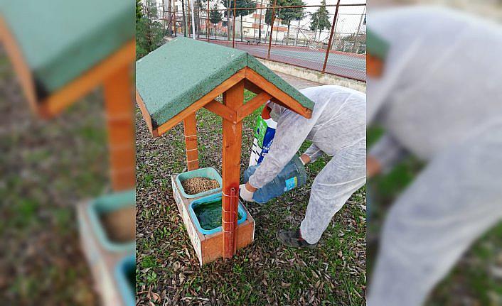 19 Mayıs'ta kısıtlamada sokak hayvanları unutulmadı