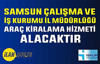 Araç kiralama hizmeti alınacaktır.