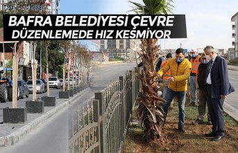 BAFRA BELEDİYESİ ÇEVRE DÜZENLEMEDE HIZ KESMİYOR 