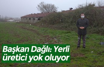 Başkan Dağlı: Yerli üretici yok oluyor