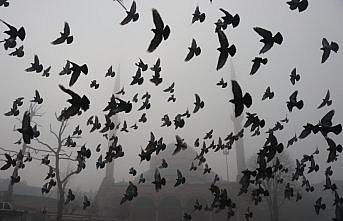 Bolu Dağı'nda sis etkili oluyor