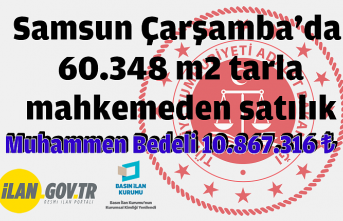 Çarşamba'da 60.348 m2 tarla mahkemeden satılık
