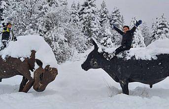 Doğa harikası Kafkasör Yaylası'nda kış bir başka güzel