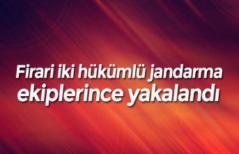 Firari iki hükümlü jandarma ekiplerince yakalandı