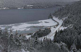 Gölcük ve Abant yarı yıl tatilinde ilgi odağı oldu