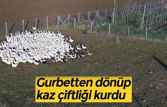 Gurbetten dönüp kaz çiftliği kurdu