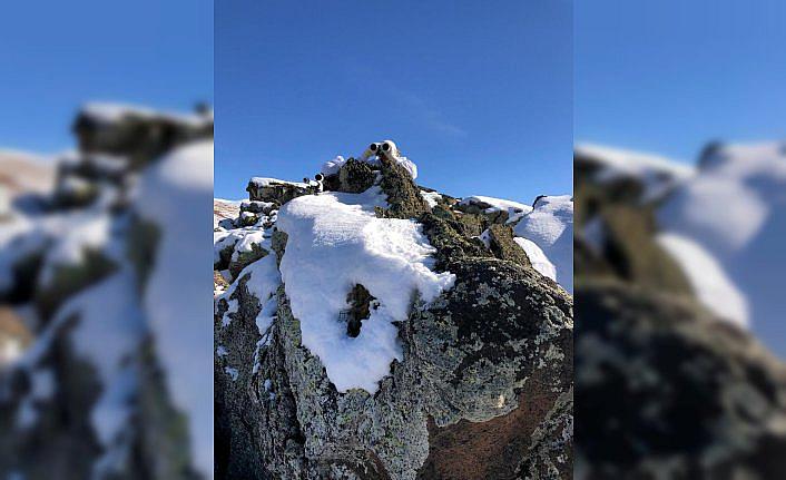 İçişleri Bakanlığı 