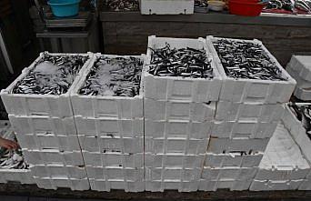 Karadenizli balıkçılar hamsi avının kısmi olarak durdurulmasından memnun