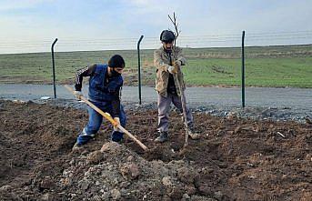 Keçiören Belediyesi 17 dönümlük meyve bahçesi kuruyor