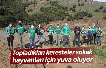 Topladıkları keresteler sokak hayvanları için yuva oluyor