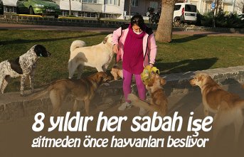 8 yıldır her sabah işe gitmeden önce hayvanları besliyor