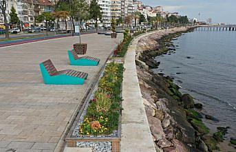 Altınordu'da sahilde yeşillendirme çalışması yapıldı