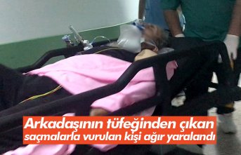 Arkadaşının tüfeğinden çıkan saçmalarla vurulan kişi ağır yaralandı