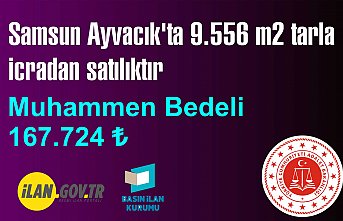 ÇARŞAMBA İCRA DAİRESİ MÜDÜRLÜĞÜ