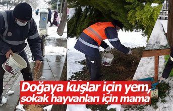 Doğaya kuşlar için yem, sokak hayvanları için mama