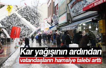 Kar yağışının ardından vatandaşların hamsiye talebi arttı