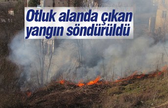 Otluk alanda çıkan yangın söndürüldü