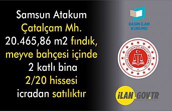 SAMSUN İCRA DAİRESİ