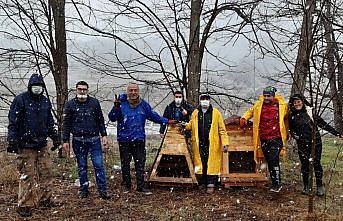 Samsun'da ekolojik yaşam gönüllüleri sokak hayvanları için kulübe yaptı