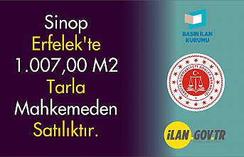Sinop Erfelek'te 1.007,00 m2 tarla mahkemeden satılıktır.