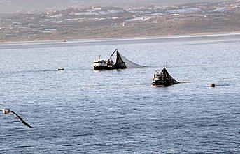 Sinop'ta ağlar istavrit ve mezgit için denize bırakılıyor