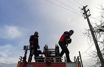 Tokat'ta telefon direğinde mahsur kalan kediyi itfaiye ekipleri kurtardı
