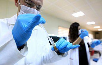 Türk bilim insanları, IGM hastalığını ameliyatsız tedavi etmeyi başardı