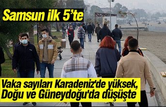 Vaka sayıları Karadeniz'de yüksek, Doğu ve Güneydoğu'da düşüşte