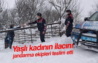 Yaşlı kadının ilacını jandarma ekipleri teslim etti