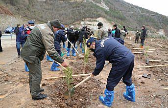 Artvin'de 408 fidan toprakla buluşturuldu