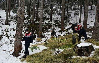 Artvin'de yaban hayatı için doğaya yem bırakıldı
