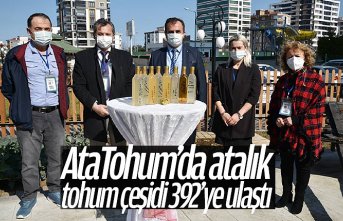 AtaTohum’da atalık tohum çeşidi 392’ye ulaştı