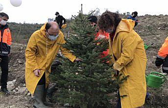 Bartın'da sağlık çalışanları adına 800 fidan dikildi